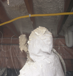 Cary NC crawl space insulation