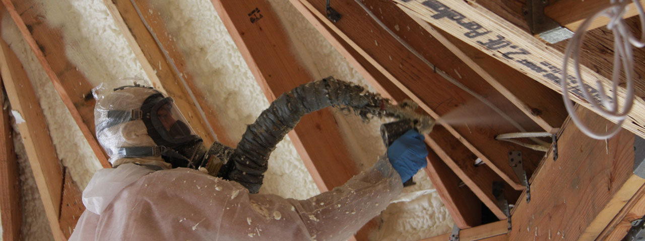 Cary North Carolina Attic Insulation Spray Foam